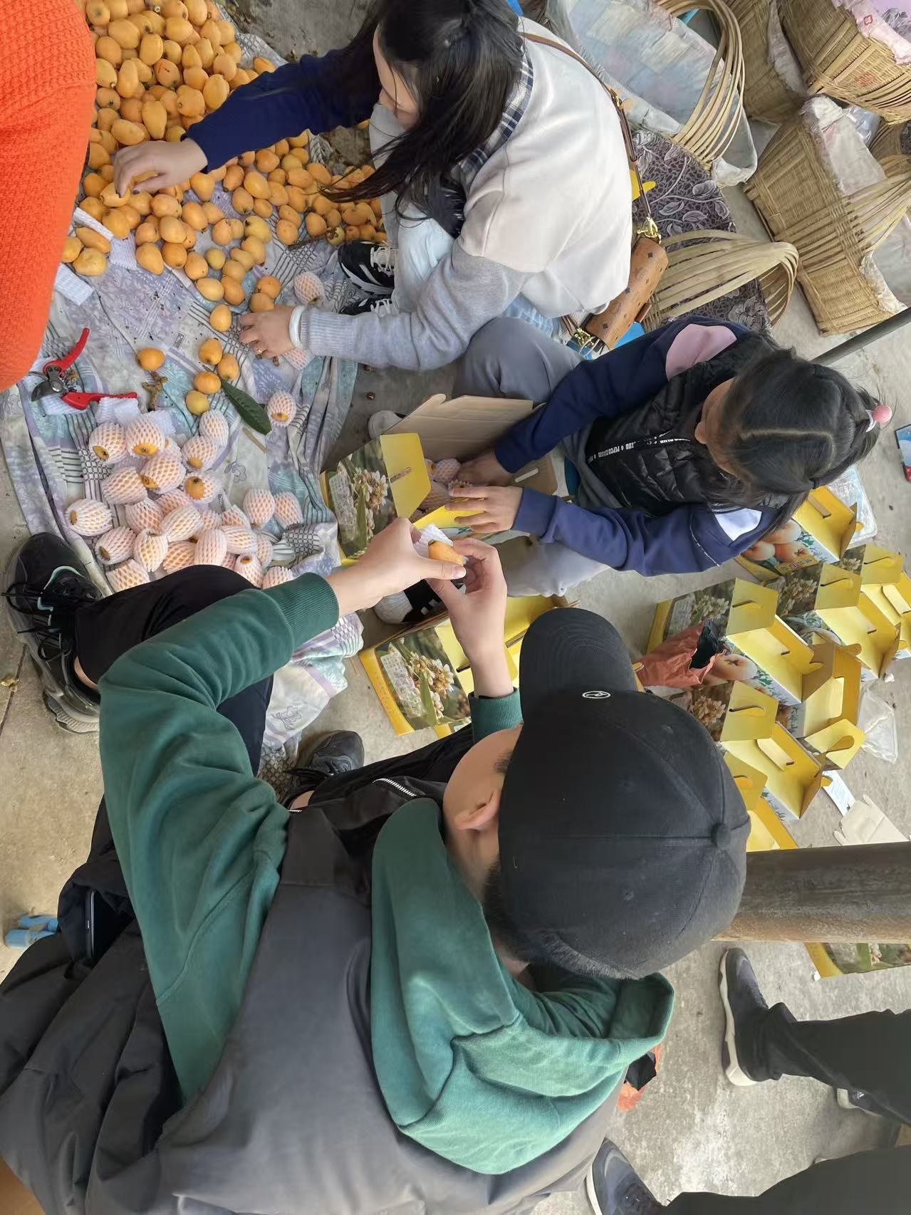Packing fruit into boxes