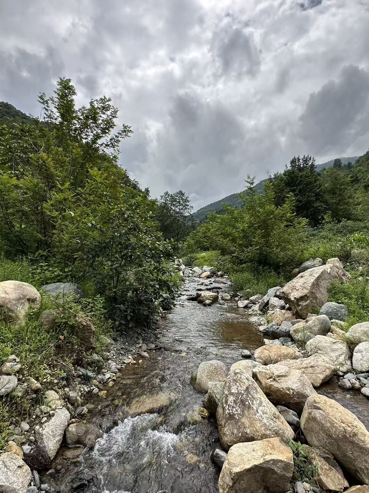 Mountain stream