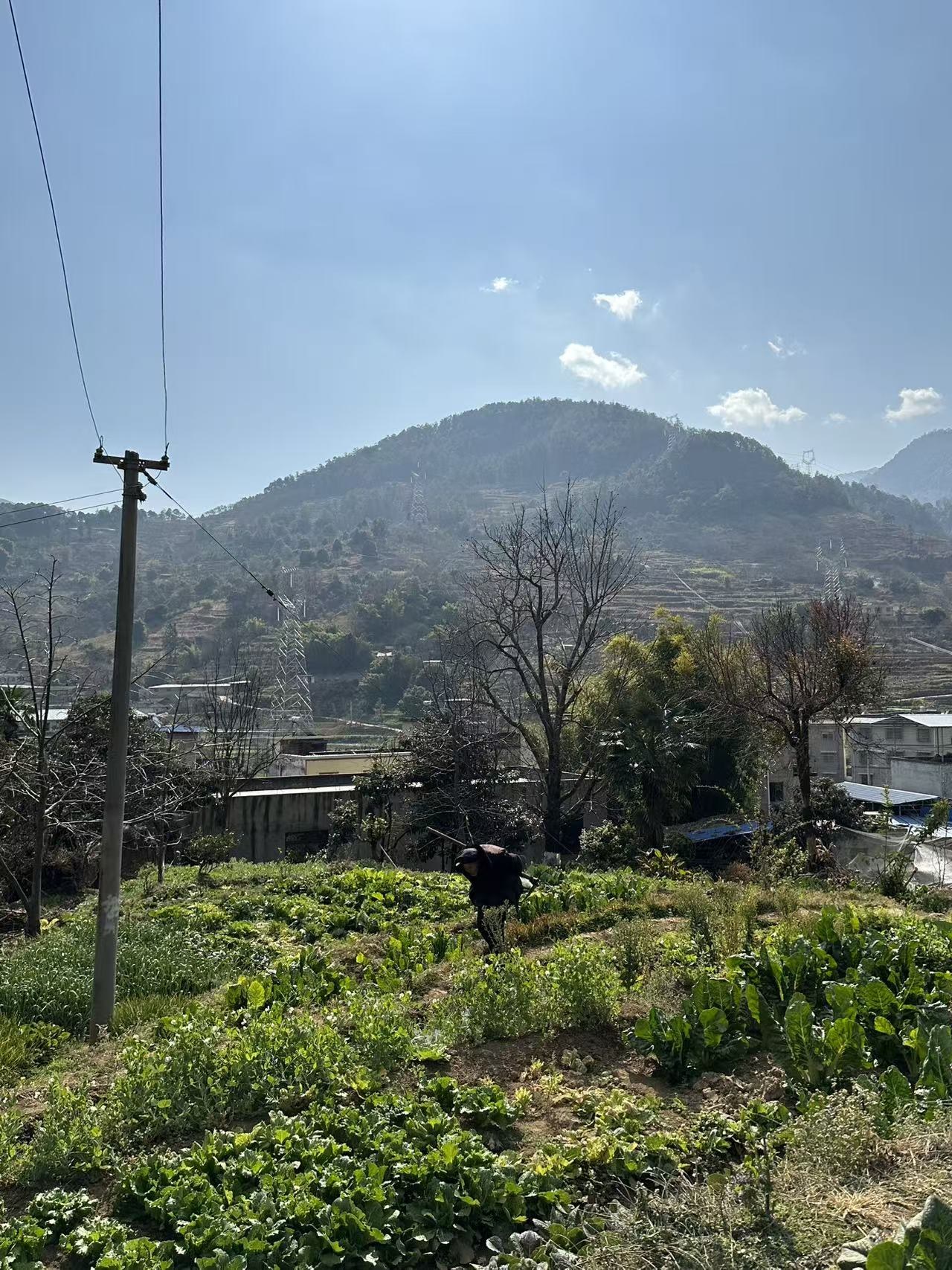 Person working in a village field